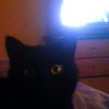 2007-01-18 Ilou au lit_l.jpg